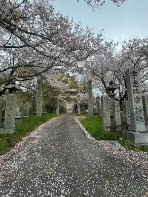 宇志比古神社の{uncategorized: "未分類", other: "その他", undefined: "問題あり", building: "その他建物", grave: "お墓", sacred_gate: "鳥居", guardian: "狛犬", statue: "像", buddha: "仏像", history: "歴史", nature: "自然", garden: "庭園", animal: "動物", pagoda: "塔", temizu: "手水舎", mountain_gate: "山門・神門", sanctuary: "本殿・本堂", subordinate: "末社・摂社", art: "芸術", scenery: "景色", jizo: "地蔵", ema: "絵馬", goshuin: "御朱印", omikuji: "おみくじ", items: "授与品その他", amulet: "お守り", goshuincho: "御朱印帳", eats: "食事", festival: "お祭り", votive_dance: "神楽", shichigosan: "七五三参", wedding: "結婚式", experience: "体験その他", initially: "初詣", around: "周辺", anti_infection: "感染症対策"}