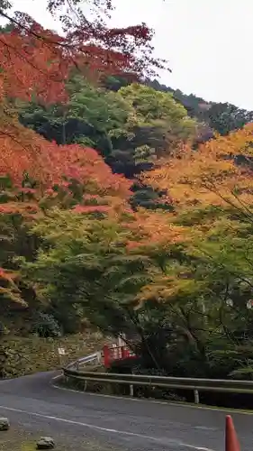 善峯寺(京都府)