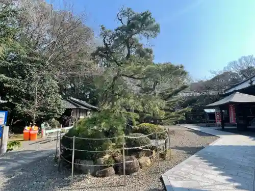 大興寺(香川県)