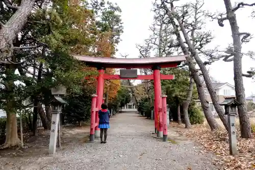 野田八幡宮の鳥居