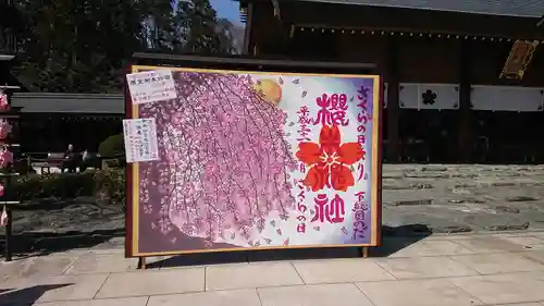 櫻木神社の芸術