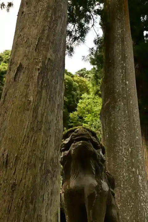 鰐淵寺(島根県)