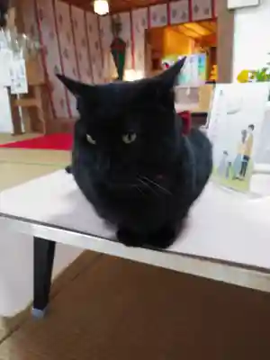 高司神社〜むすびの神の鎮まる社〜(福島県)