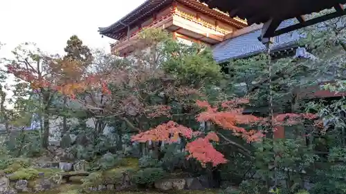 本法寺(京都府)