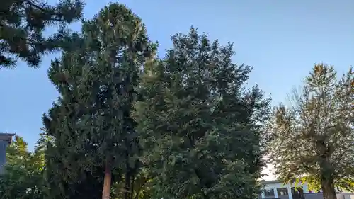 旭川別院の自然