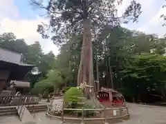 北口本宮冨士浅間神社(山梨県)