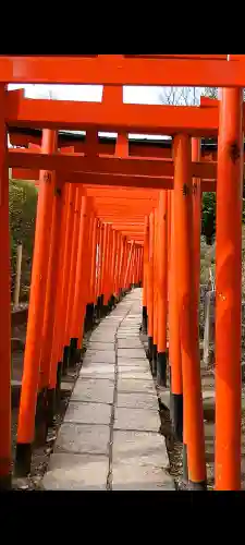 乙女稲荷神社の{uncategorized: "未分類", other: "その他", undefined: "問題あり", building: "その他建物", grave: "お墓", sacred_gate: "鳥居", guardian: "狛犬", statue: "像", buddha: "仏像", history: "歴史", nature: "自然", garden: "庭園", animal: "動物", pagoda: "塔", temizu: "手水舎", mountain_gate: "山門・神門", sanctuary: "本殿・本堂", subordinate: "末社・摂社", art: "芸術", scenery: "景色", jizo: "地蔵", ema: "絵馬", goshuin: "御朱印", omikuji: "おみくじ", items: "授与品その他", amulet: "お守り", goshuincho: "御朱印帳", eats: "食事", festival: "お祭り", votive_dance: "神楽", shichigosan: "七五三参", wedding: "結婚式", experience: "体験その他", initially: "初詣", around: "周辺", anti_infection: "感染症対策"}