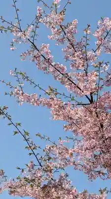 後白河院御聖蹟　法住寺(京都府)