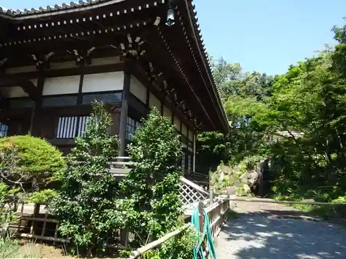 妙蓮寺の庭園