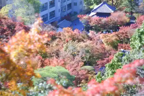 禅林寺（永観堂）(京都府)