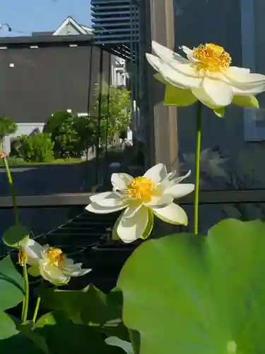 極楽山　浄土寺の自然