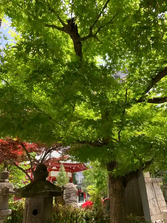 太融寺(大阪府)