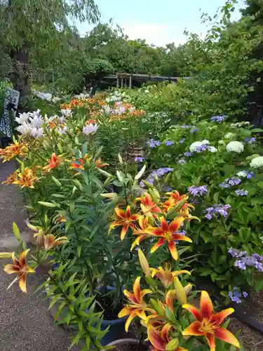 筥崎宮(福岡県)