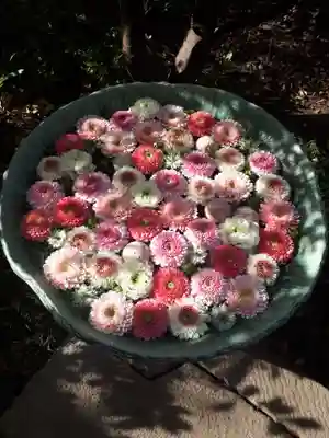 行田八幡神社の手水舎