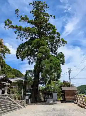 杉谷神社(三重県)