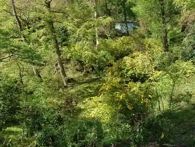 胎内神社(静岡県)