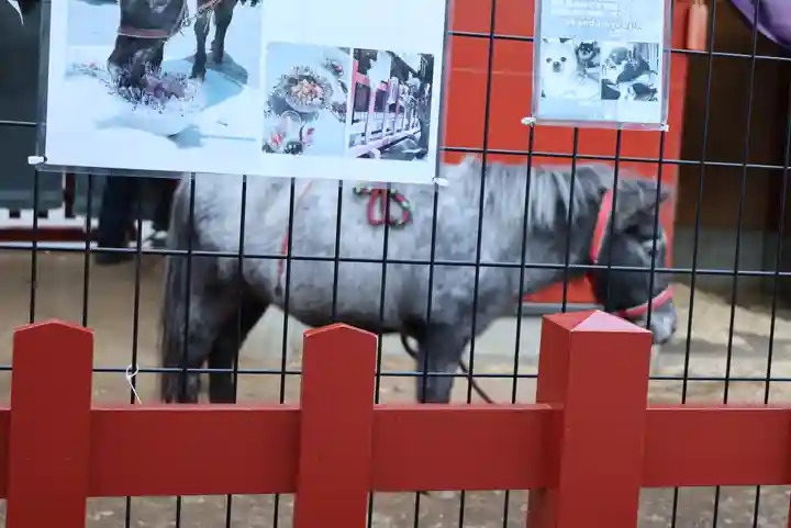 神田神社(神田明神)(東京都)