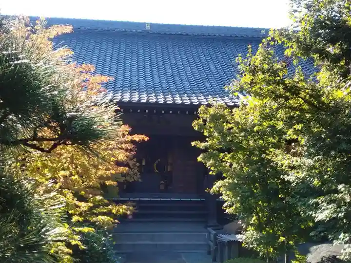 樹源寺の本殿・本堂