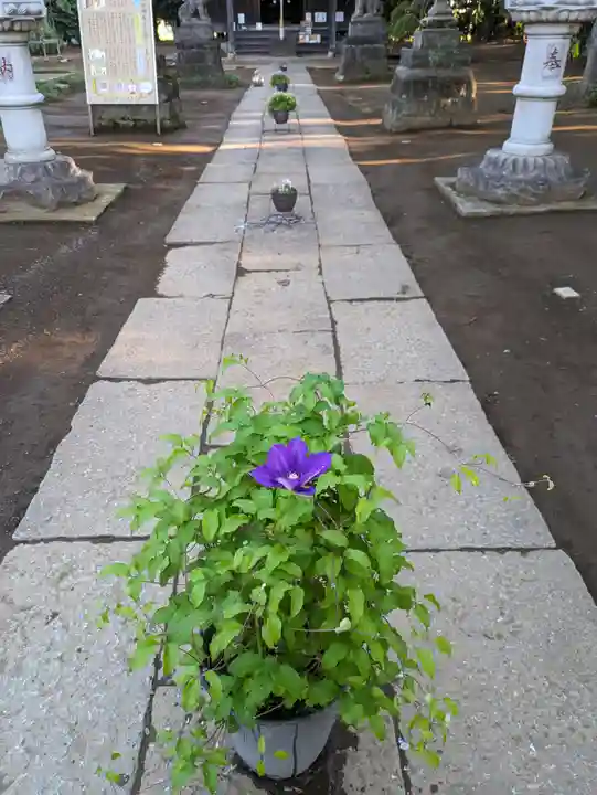 伏木香取神社(茨城県)