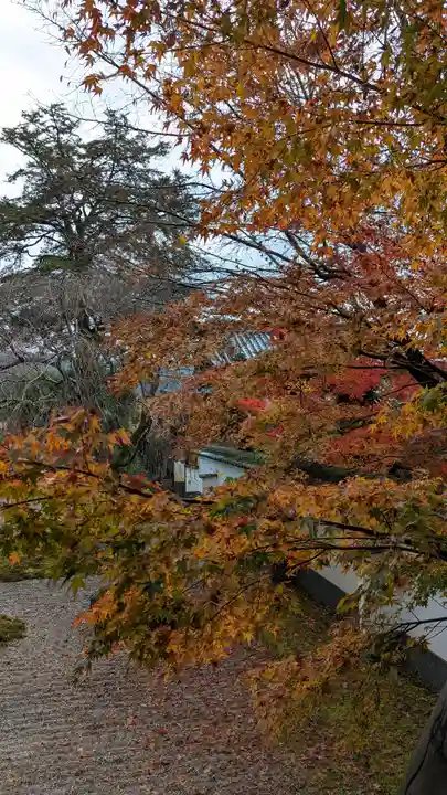 実相院門跡(京都府)