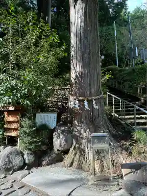 神場山神社(静岡県)