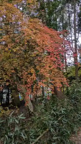 建部大社(滋賀県)