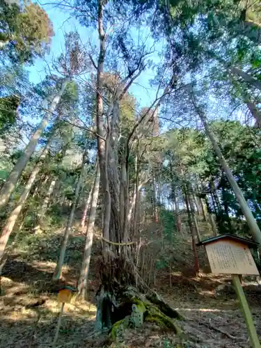 飛驒一宮水無神社(岐阜県)