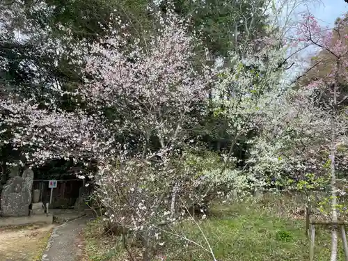 十輪寺(京都府)