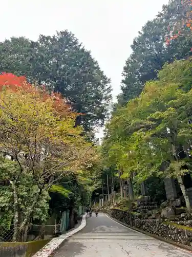 三峯神社の{uncategorized: "未分類", other: "その他", undefined: "問題あり", building: "その他建物", grave: "お墓", sacred_gate: "鳥居", guardian: "狛犬", statue: "像", buddha: "仏像", history: "歴史", nature: "自然", garden: "庭園", animal: "動物", pagoda: "塔", temizu: "手水舎", mountain_gate: "山門・神門", sanctuary: "本殿・本堂", subordinate: "末社・摂社", art: "芸術", scenery: "景色", jizo: "地蔵", ema: "絵馬", goshuin: "御朱印", omikuji: "おみくじ", items: "授与品その他", amulet: "お守り", goshuincho: "御朱印帳", eats: "食事", festival: "お祭り", votive_dance: "神楽", shichigosan: "七五三参", wedding: "結婚式", experience: "体験その他", initially: "初詣", around: "周辺", anti_infection: "感染症対策"}
