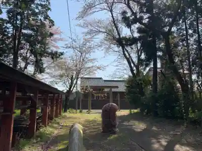 白幡神社(千葉県)