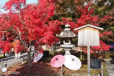 勝林寺(京都府)