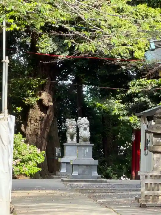 諏訪神社の{uncategorized: "未分類", other: "その他", undefined: "問題あり", building: "その他建物", grave: "お墓", sacred_gate: "鳥居", guardian: "狛犬", statue: "像", buddha: "仏像", history: "歴史", nature: "自然", garden: "庭園", animal: "動物", pagoda: "塔", temizu: "手水舎", mountain_gate: "山門・神門", sanctuary: "本殿・本堂", subordinate: "末社・摂社", art: "芸術", scenery: "景色", jizo: "地蔵", ema: "絵馬", goshuin: "御朱印", omikuji: "おみくじ", items: "授与品その他", amulet: "お守り", goshuincho: "御朱印帳", eats: "食事", festival: "お祭り", votive_dance: "神楽", shichigosan: "七五三参", wedding: "結婚式", experience: "体験その他", initially: "初詣", around: "周辺", anti_infection: "感染症対策"}