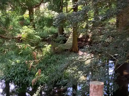 矢彦神社(長野県)