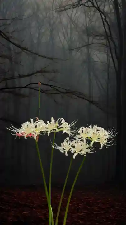 高幡不動尊 金剛寺(東京都)