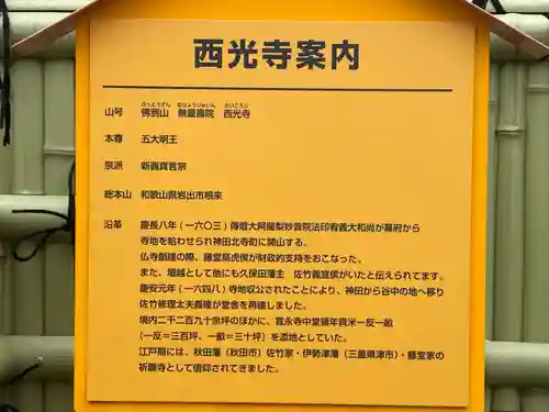 谷中西光寺の歴史