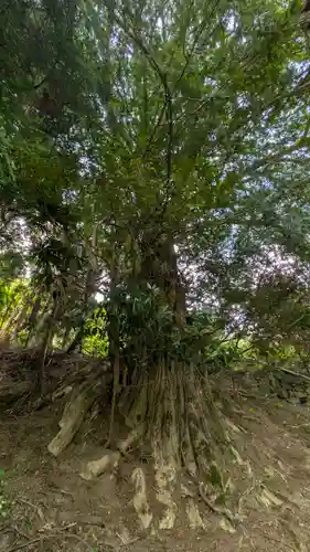 若宮社(京都府)