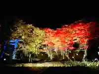 土津神社|こどもと出世の神さまの自然