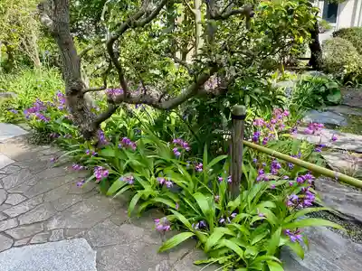 大巧寺(神奈川県)
