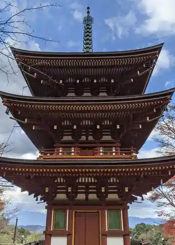 岡寺（龍蓋寺）(奈良県)