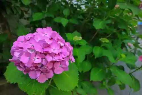 新橋鹽竃神社の周辺