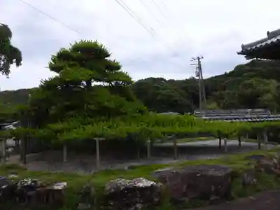 種間寺(高知県)
