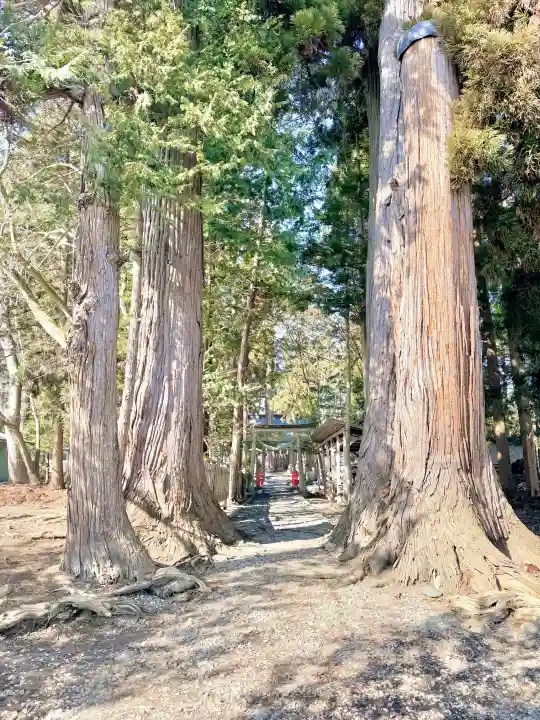 八坂神社の{uncategorized: "未分類", other: "その他", undefined: "問題あり", building: "その他建物", grave: "お墓", sacred_gate: "鳥居", guardian: "狛犬", statue: "像", buddha: "仏像", history: "歴史", nature: "自然", garden: "庭園", animal: "動物", pagoda: "塔", temizu: "手水舎", mountain_gate: "山門・神門", sanctuary: "本殿・本堂", subordinate: "末社・摂社", art: "芸術", scenery: "景色", jizo: "地蔵", ema: "絵馬", goshuin: "御朱印", omikuji: "おみくじ", items: "授与品その他", amulet: "お守り", goshuincho: "御朱印帳", eats: "食事", festival: "お祭り", votive_dance: "神楽", shichigosan: "七五三参", wedding: "結婚式", experience: "体験その他", initially: "初詣", around: "周辺", anti_infection: "感染症対策"}
