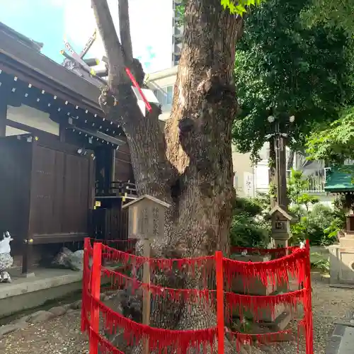 三輪神社(愛知県)