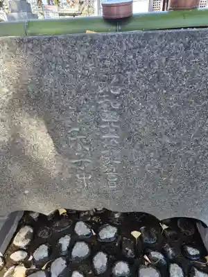 小杉神社(神奈川県)