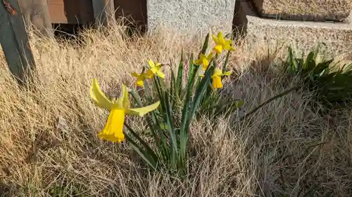 愛染堂勝鬘院の庭園