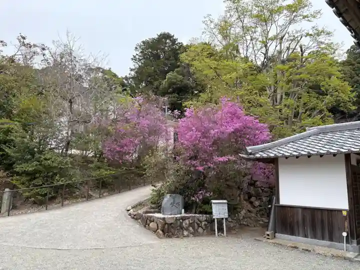 満願寺(兵庫県)