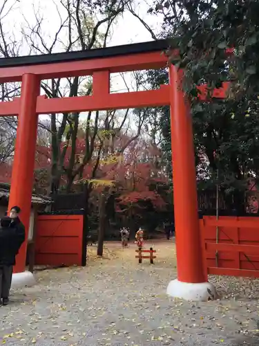 河合神社（鴨川合坐小社宅神社）の鳥居