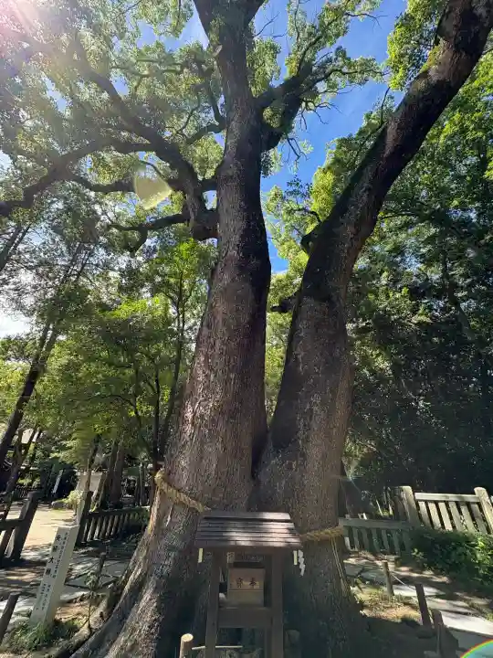 伊弉諾神宮(兵庫県)