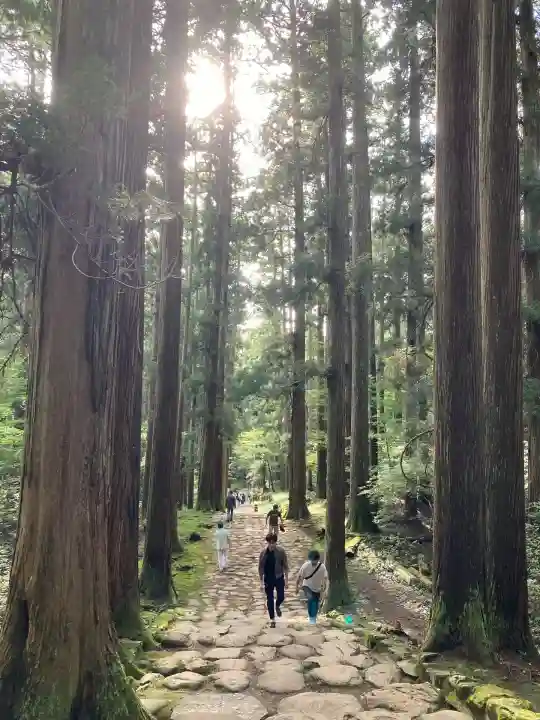 平泉寺白山神社(福井県)