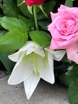 上尾御嶽神社(埼玉県)